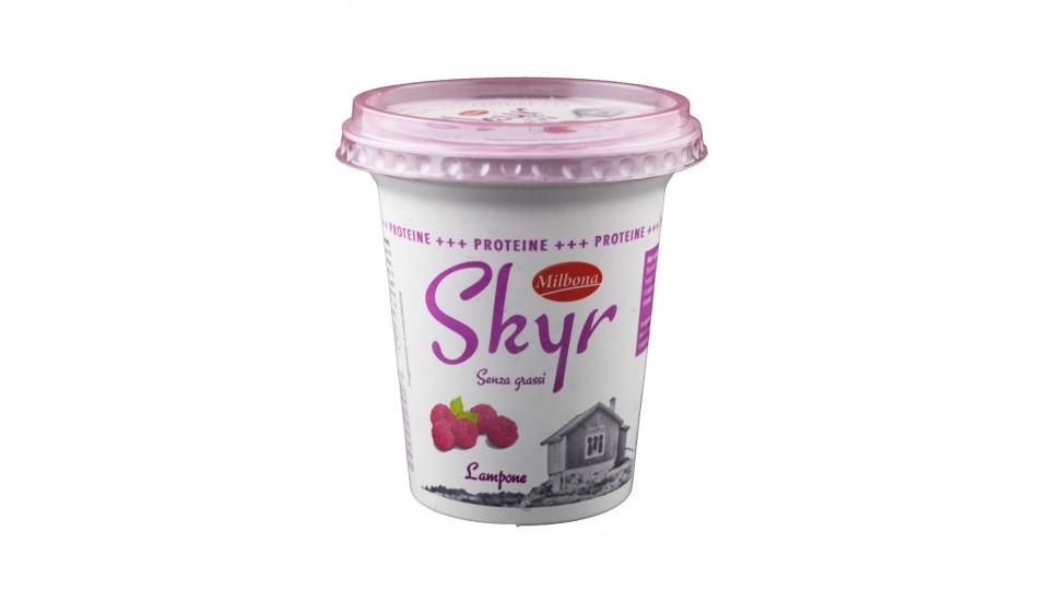 Skyr ai Lamponi