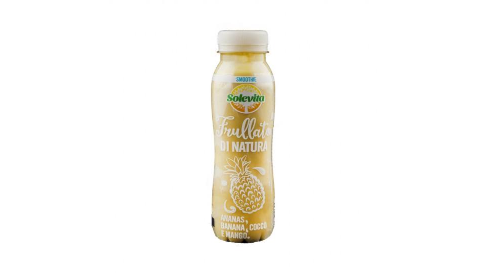 Frullato 100% Frutta Smoothie Ananas-banana-cocco