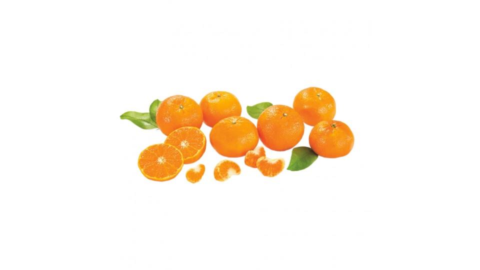 Clementine Bio