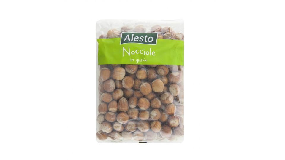 Nocciole in Guscio