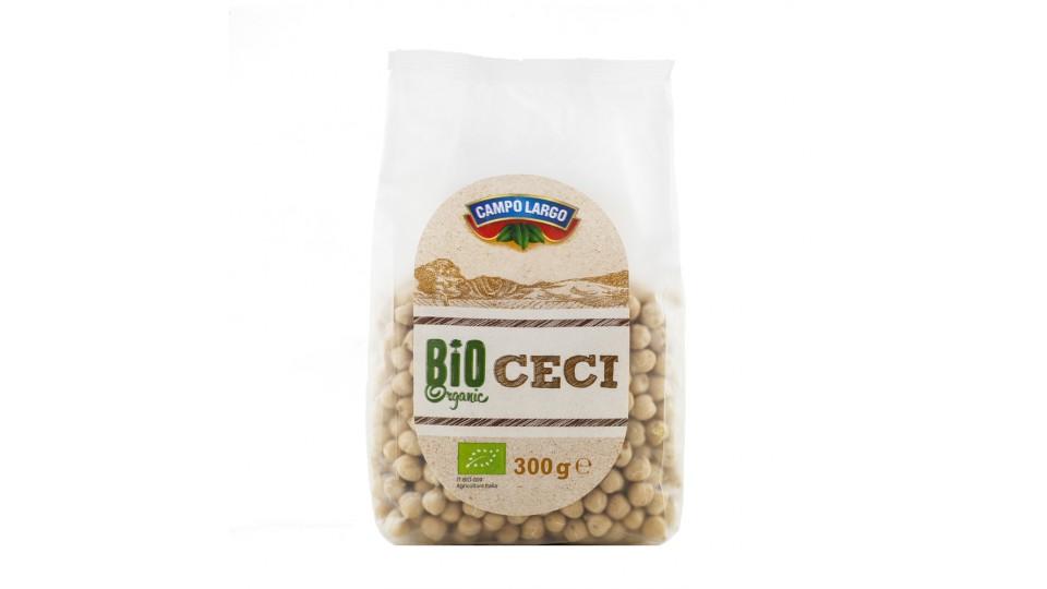 Ceci Secchi