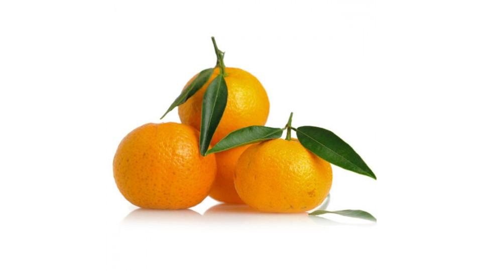 Mandarini Tardivo di Ciaculli Bio Italia 