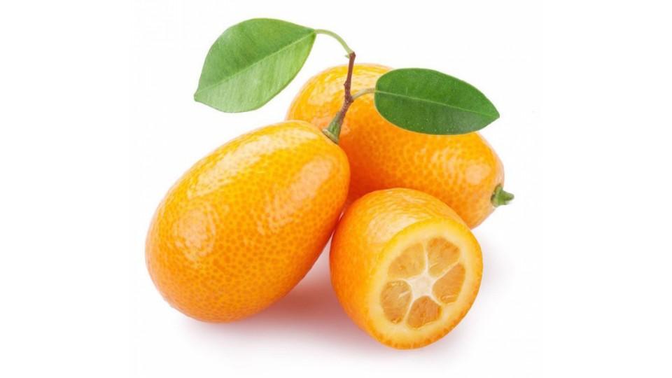 Kumquat Italia