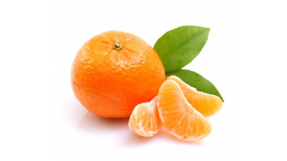 Clementine Bio Italia