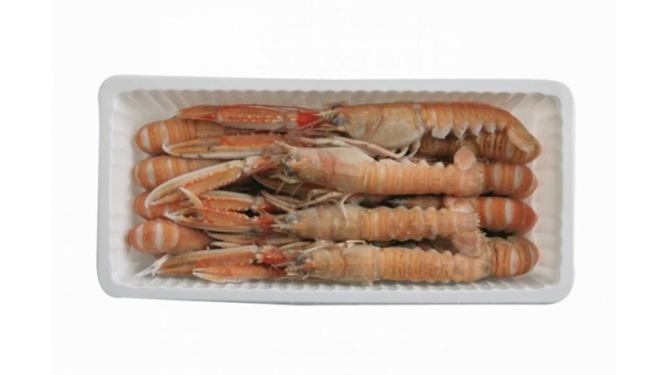 Scampi Interi Congelati 20/30