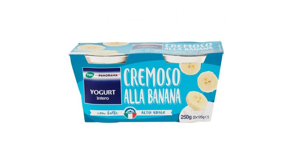 Yogurt Intero alla Banana 