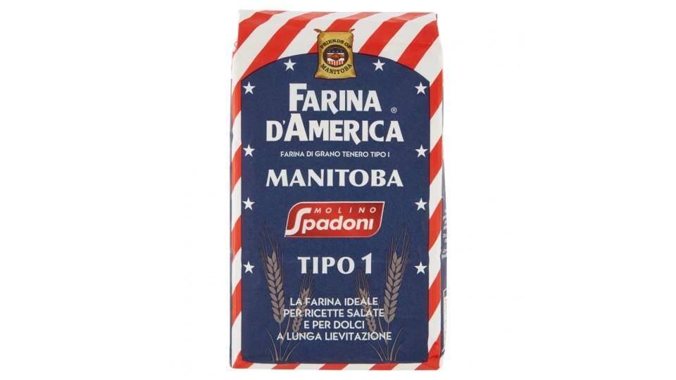 Farina d'America Manitoba Tipo 1