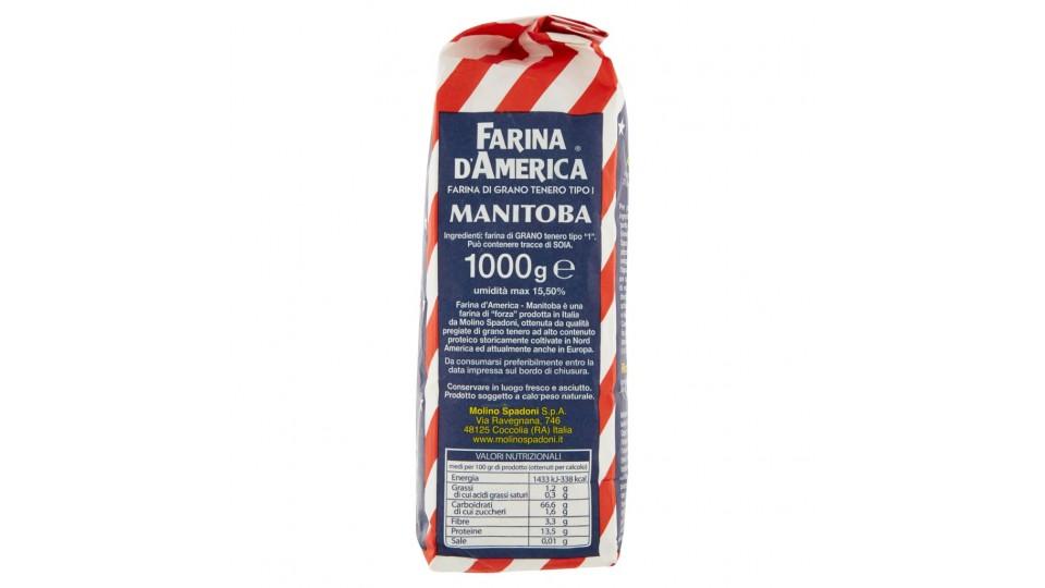Farina d'America Manitoba Tipo 1
