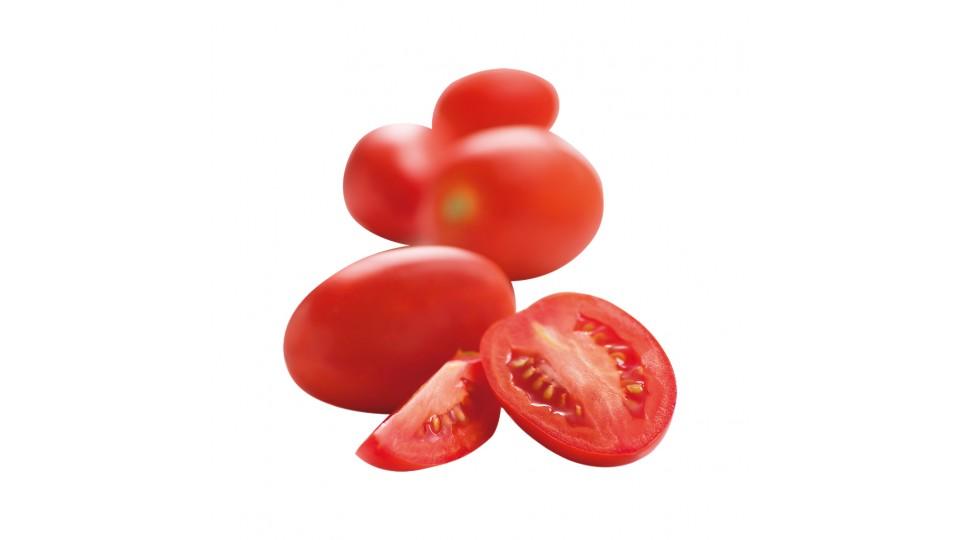 Pomodori Oblungo