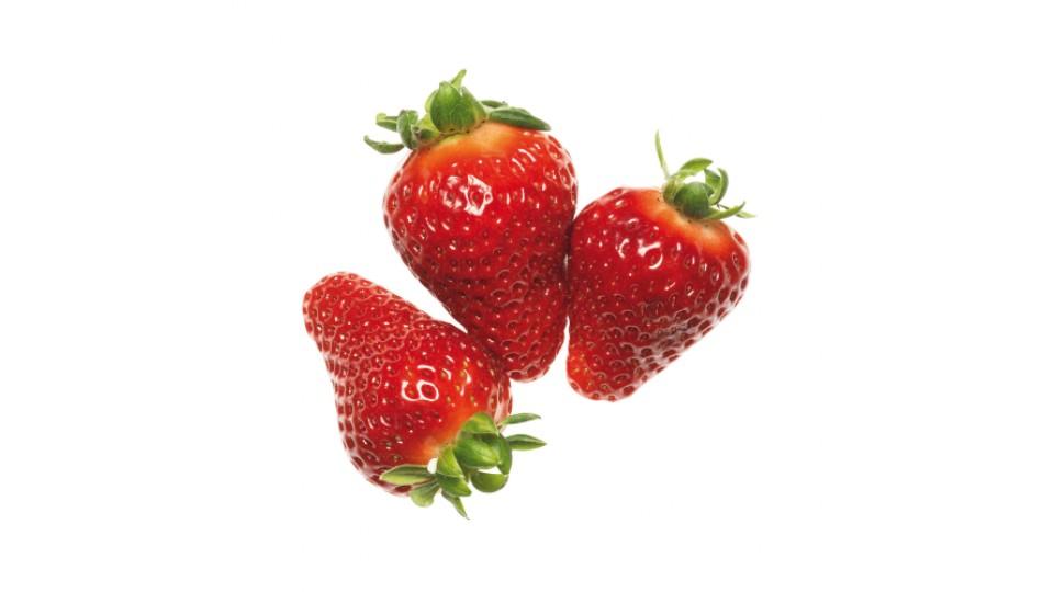 Fragole Bio