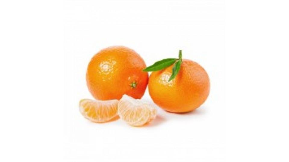 Clementine Affogliate Spagna