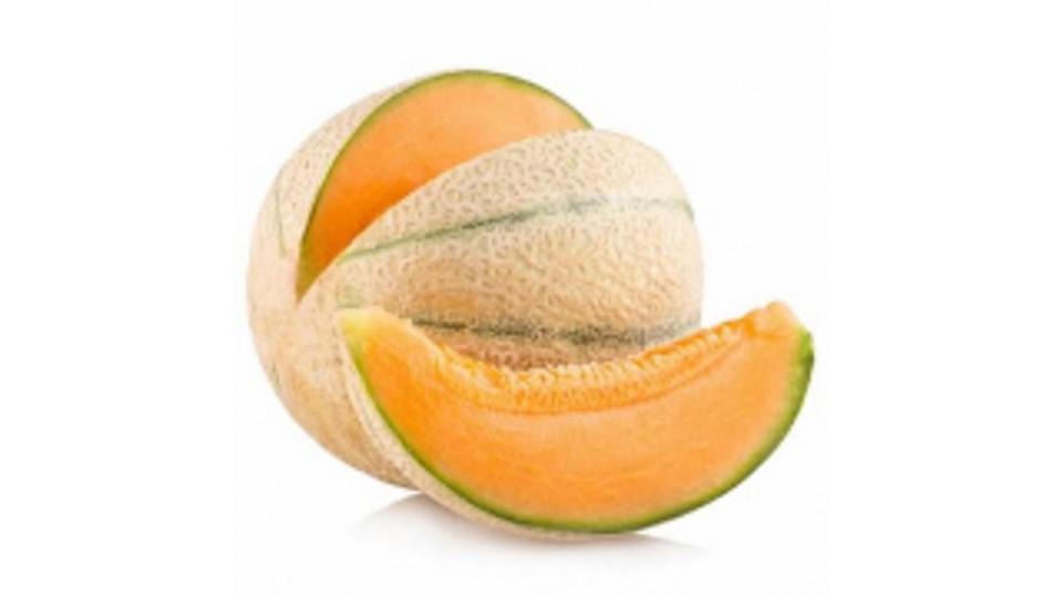 Melone Retato