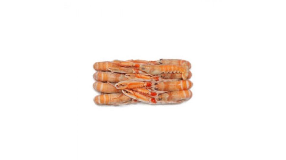 Scampi Interi Gran Bretagna 8/10 