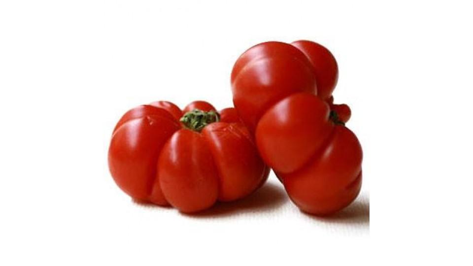 Pomodori Costoluto Spagna