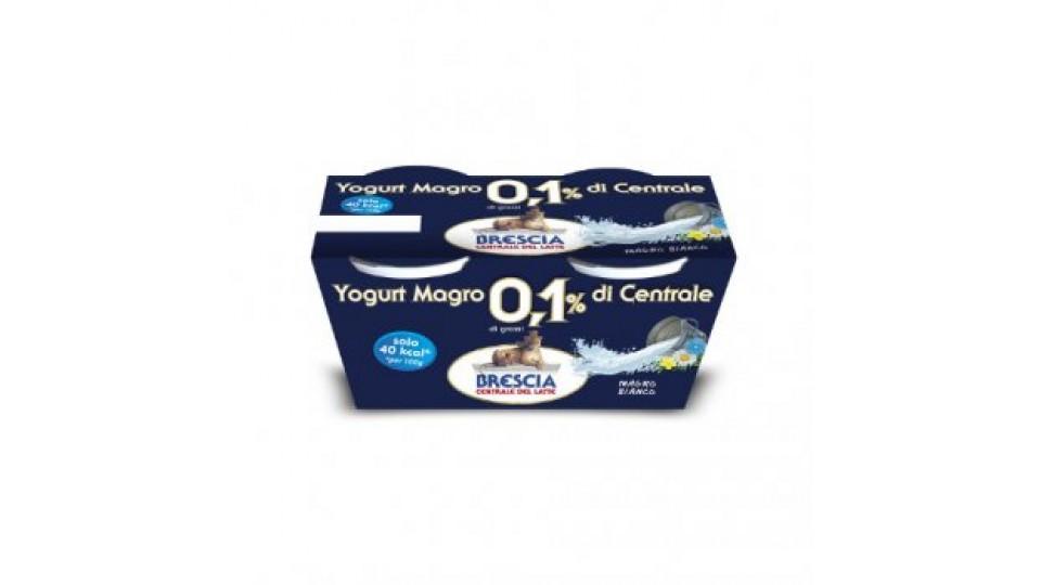 Yogurt Naturale Magro 