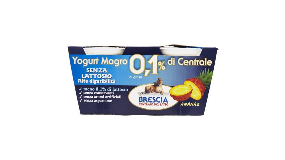 Yogurt Ananas 