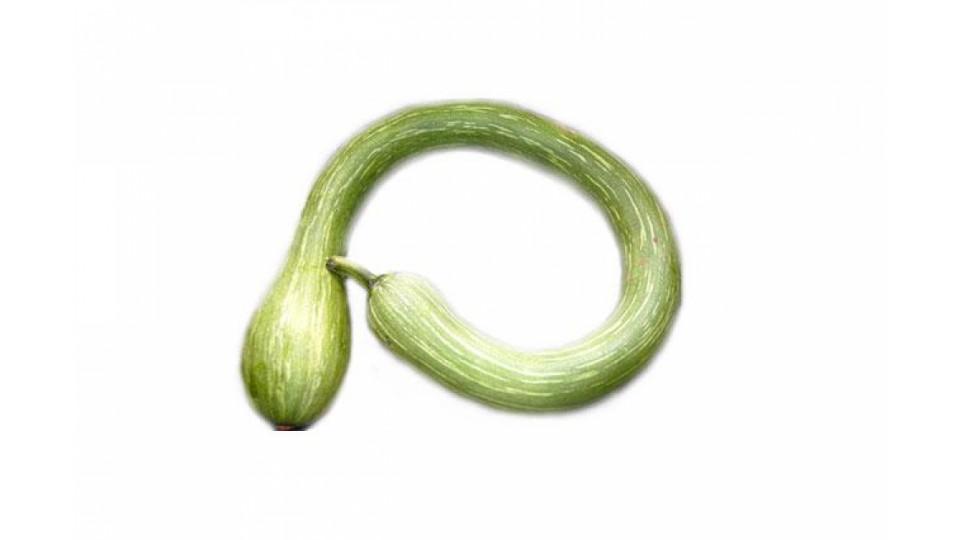 Zucchine Trombetta
