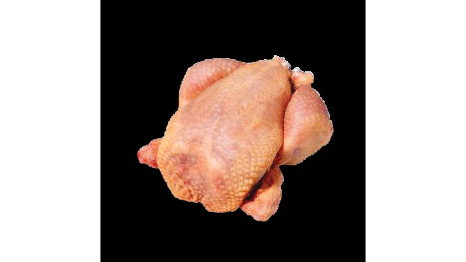 Pollo Busto Halal X4.