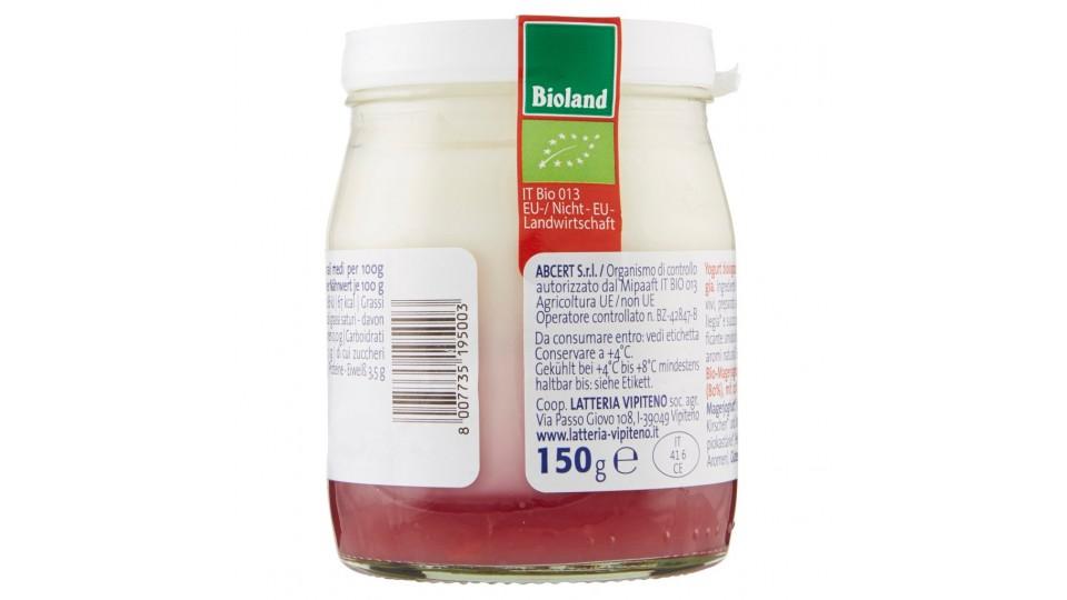 Bio Yogurt Magro su Ciliegia da Latte Fieno