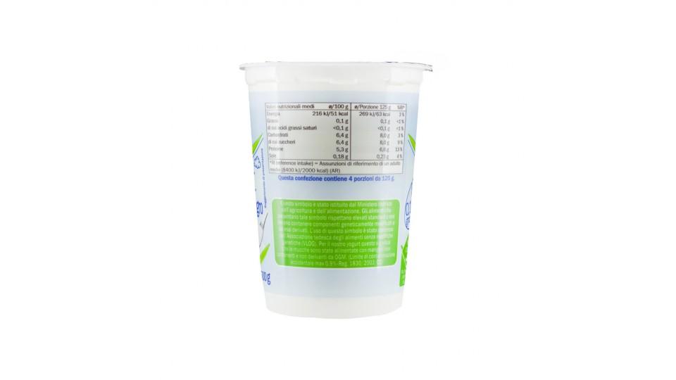 Yogurt Bianco 0,1% Grassi