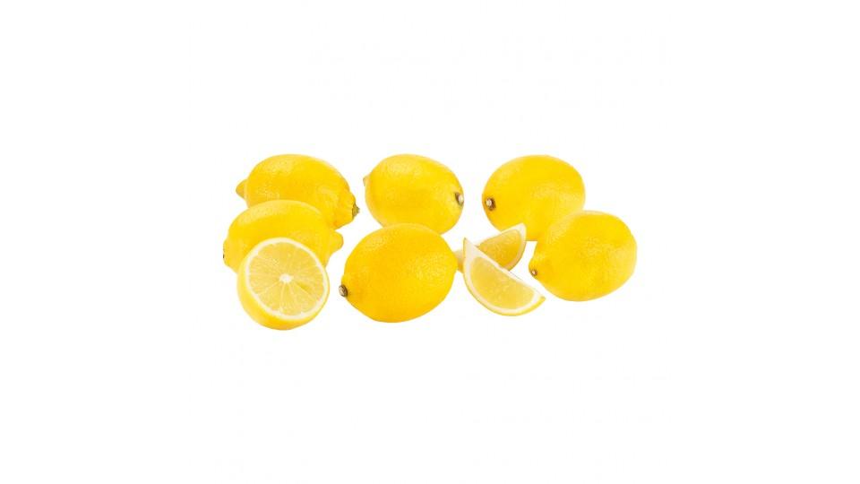 Limoni di Sorrento Igp