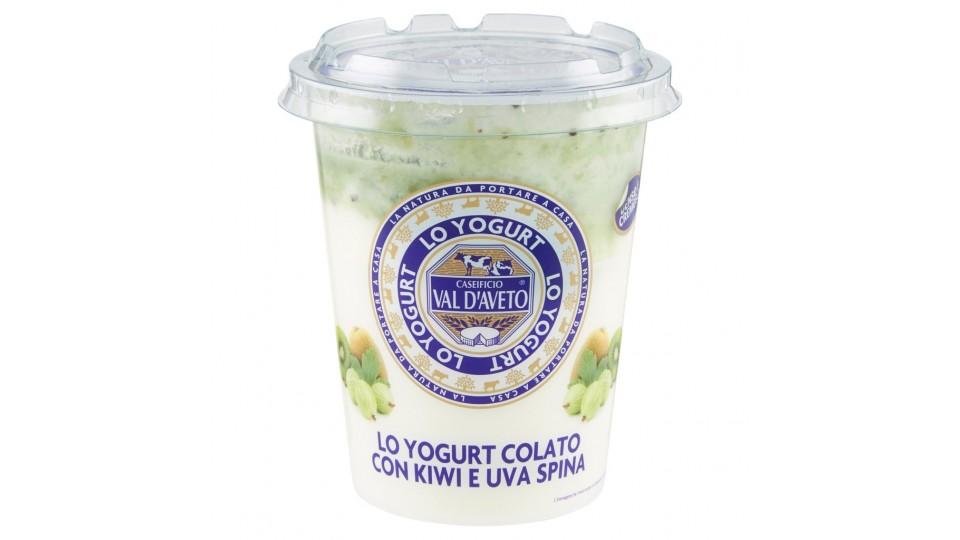 Lo Yogurt Colato con Kiwi e Uva Spina