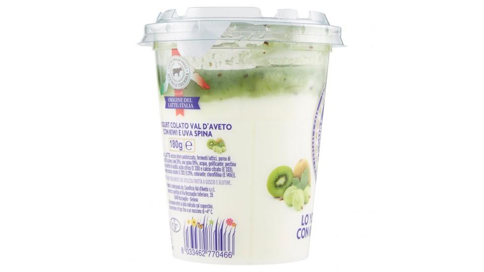 Lo Yogurt Colato con Kiwi e Uva Spina