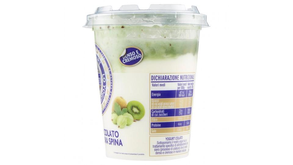 Lo Yogurt Colato con Kiwi e Uva Spina