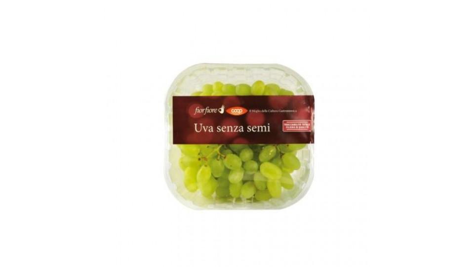 Uva senza Semi Bianca Sugraone Vivi Verde Bio Italia 