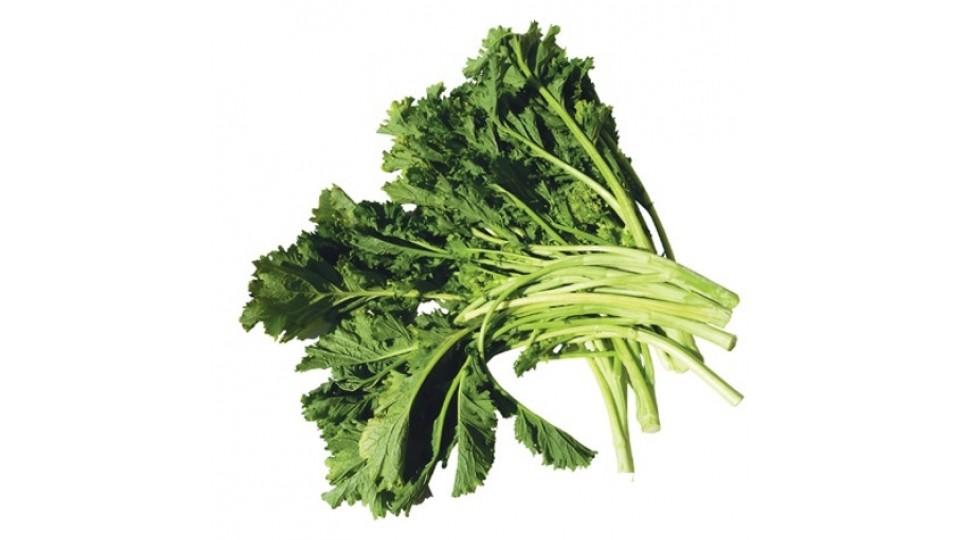 Cime di Rapa