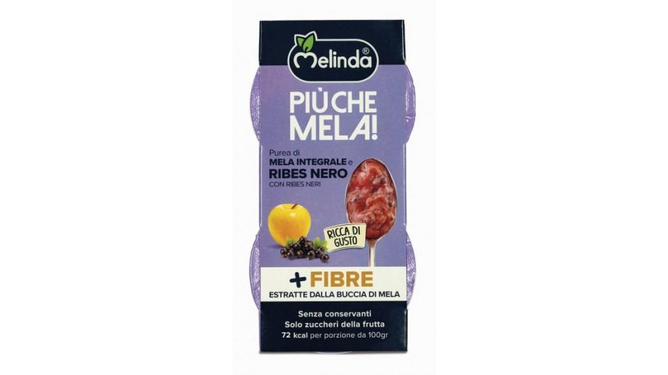 Purea Mela Integrale Ribes 