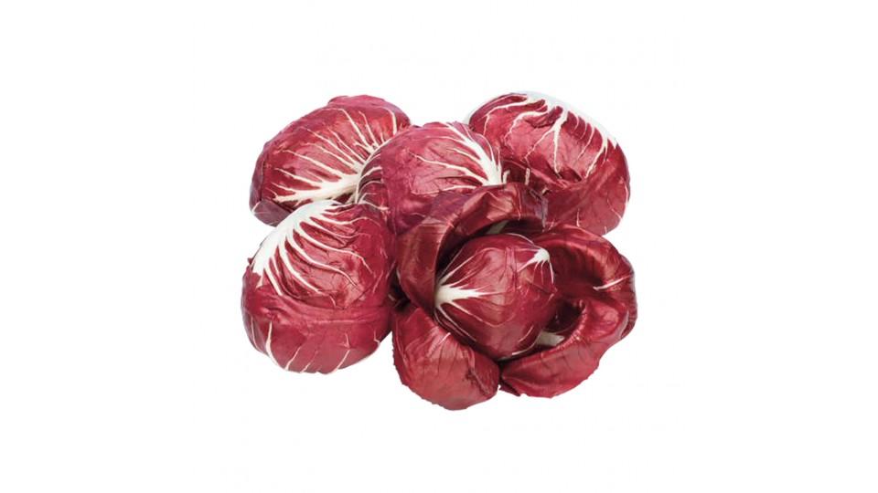 Radicchio di Verona Igp