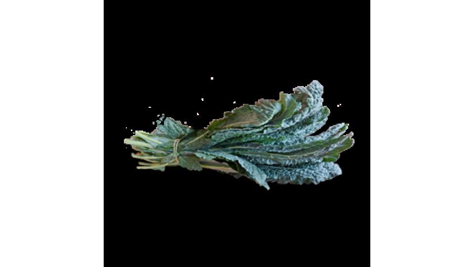 Cavolo Nero