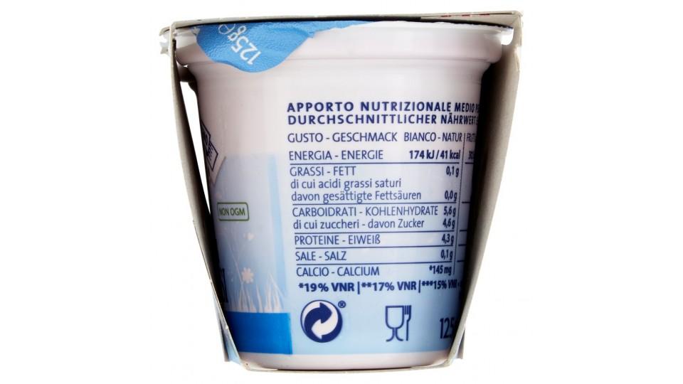 0,1% Grassi Yogurt Magro al Mirtillo Nero