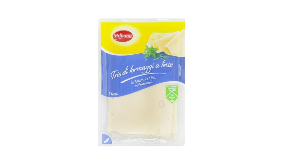 Fette di Formaggio Tedesco