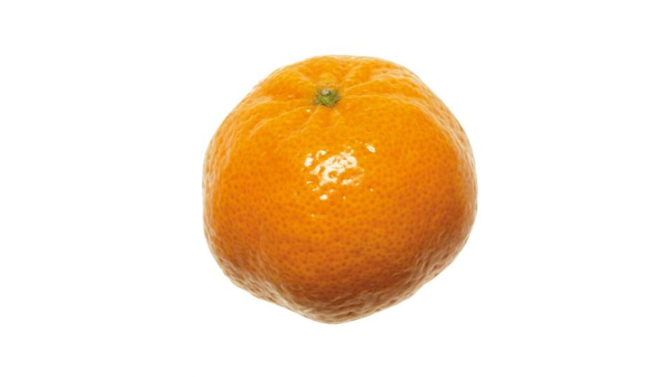 Mandarini Orri Kg 1