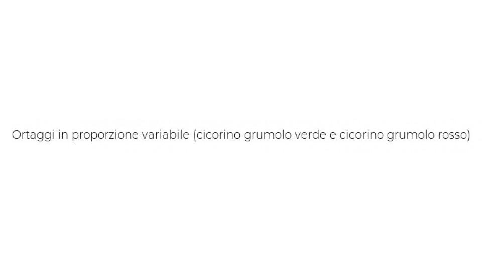 Le Regionali le Lombarde Cicorino Grumolo