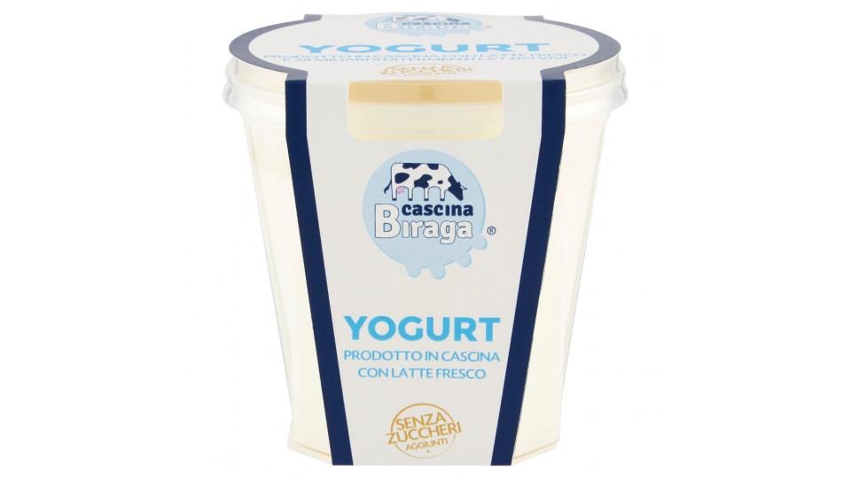 Yogurt