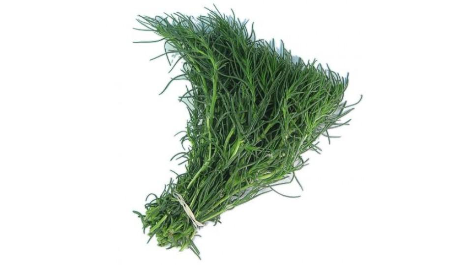 Lischi- Agretti