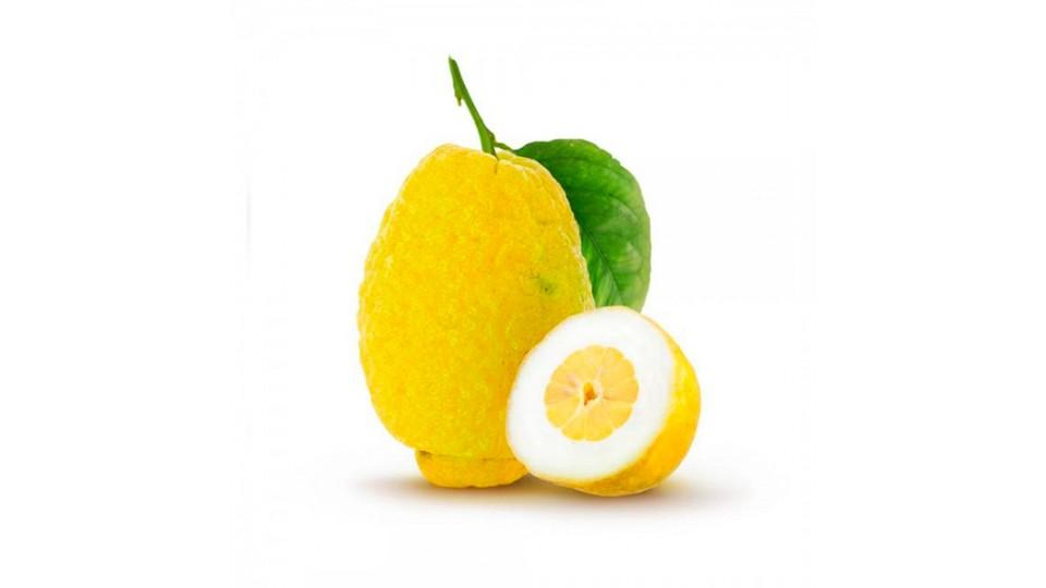 Cedro