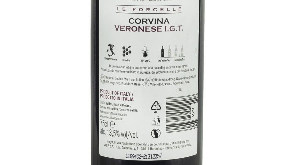 Corvina Veronese Igt 13,5% Vol.