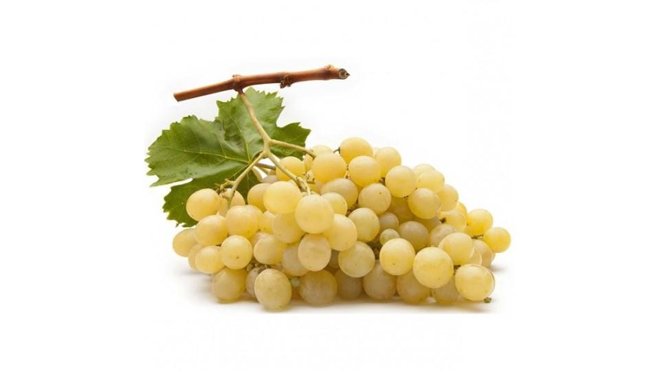 Uva Vittoria Italia I^