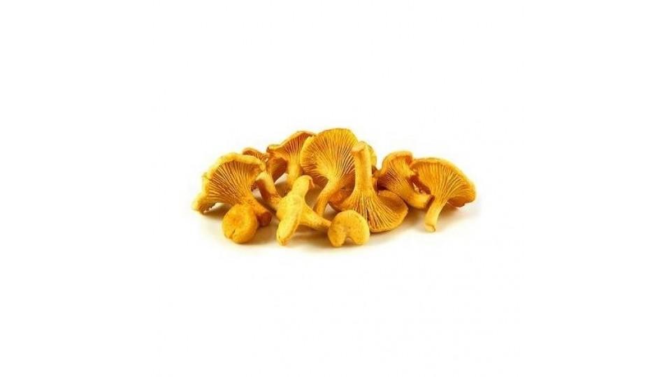 Funghi Galletti 