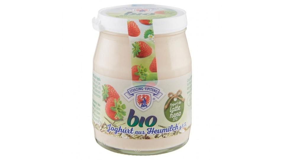 Bio Yogurt da Latte Fieno Stg Intero alla Fragola