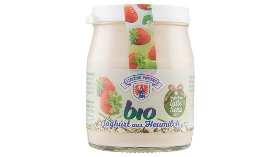 Bio Yogurt da Latte Fieno Stg Intero alla Fragola