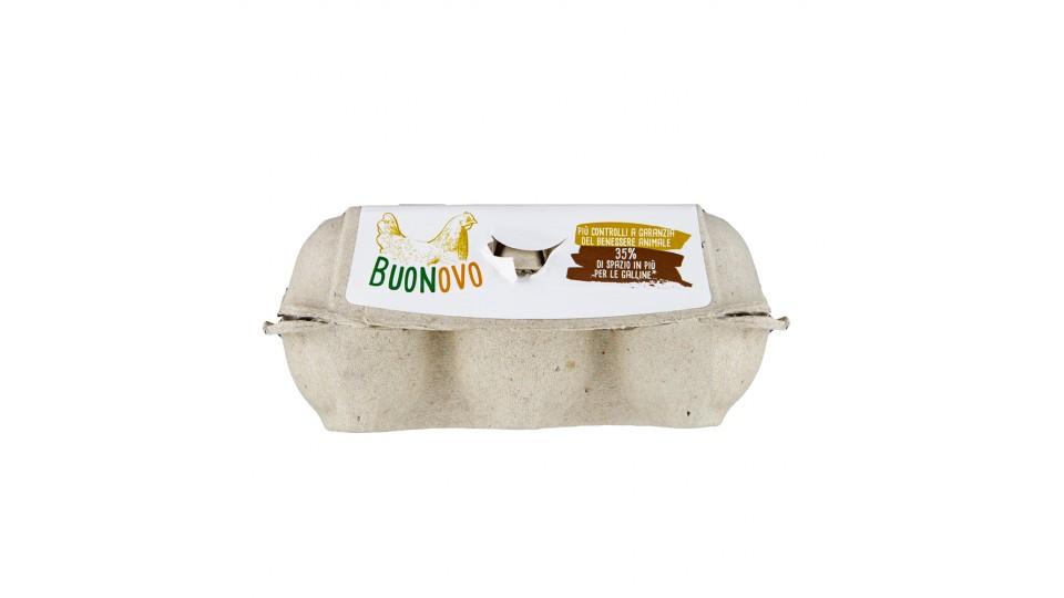 Buonovo Uova di Filiera Antibiotic Free