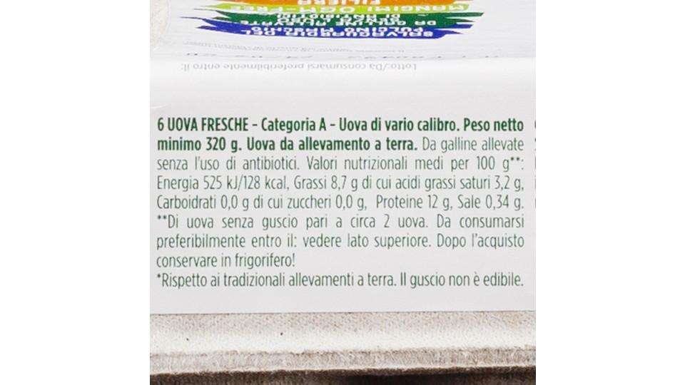 Buonovo Uova di Filiera Antibiotic Free