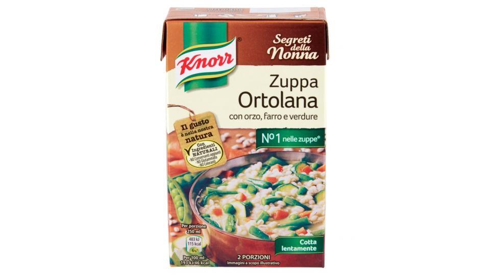 Knorr - Zuppa Ortolana, con Orzo, Farro e Verdure