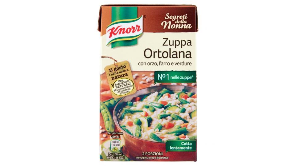 Knorr - Zuppa Ortolana, con Orzo, Farro e Verdure