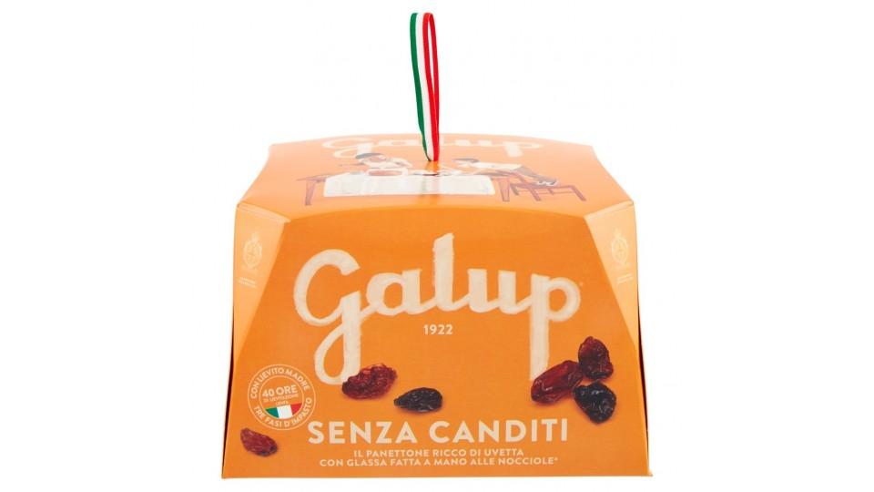 Colomba Senza Canditi Galup,750 gr